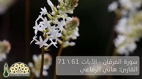 تلاوة آيات من سورة الفرقان بصوت القارئ هاني الرفاعي