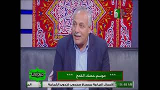 موسم حصاد القمح .. صباح الدلتا 20 4 2021 .. رئيس التحرير / جيهان عبد الغني