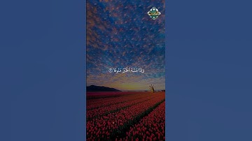 ما تيسر من سورة المعارج