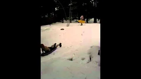 Tahoe 2011 Sledding