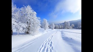 Зимнее утро.  Сергей Чекалин. Winter morning. Sergei Chekalin. Mañana de invierno.