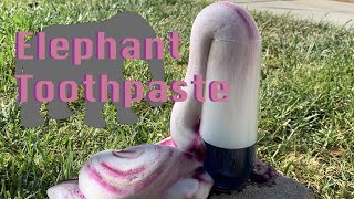 Elephant Toothpaste Experiment made easy