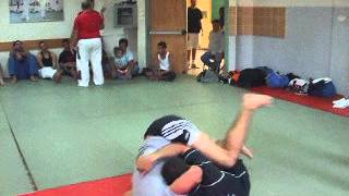 DSCF8237.avi