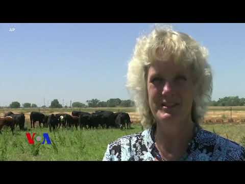 2018 წლის რამდენიმე საინტერესო მოვლენა მეცნიერებაში