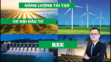 Tiềm năng ngành năng lượng tái tạo và cổ phiếu REE (Đầu tư dài hạn)