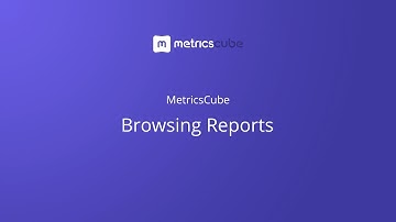 MetricsCube - Browsing Reports with Filtering and Comparing Tools