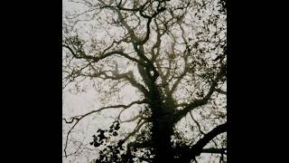 [FREE FOR PROFIT] Slowcore + Alternative Rock type beat Spite