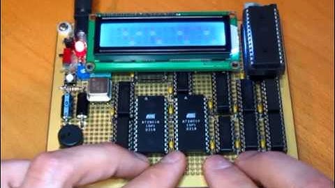 Nibbler Homebrew CPU - Frogger!