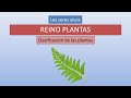 Plantas: características y clasificación.