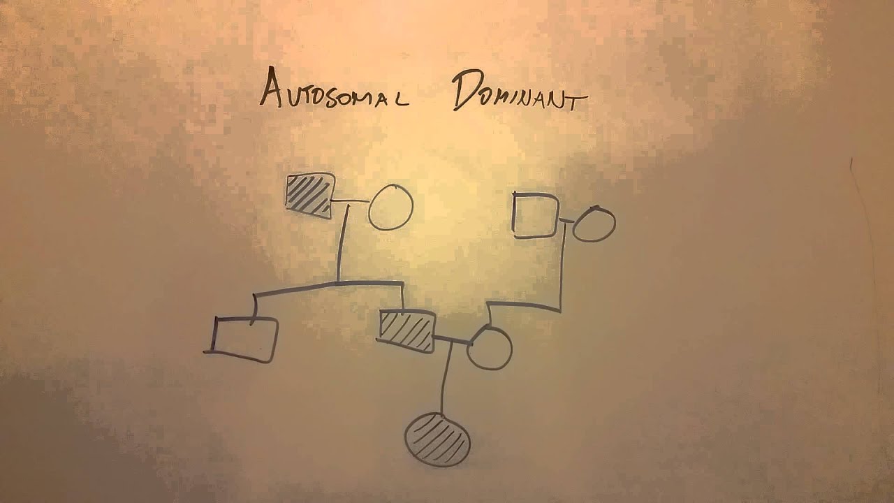 In Autosomal Dominant Inheritance Aspx Lang