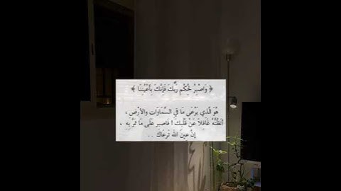 #قرآن #القرآن_الكريم #تلاوة #كتاب_الله #ماهر_المعيقلي #الصبر #الله #اللهم_صل_وسلم_على_نبينا_محمد