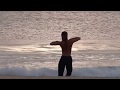 Flamenco on a beach of varkala