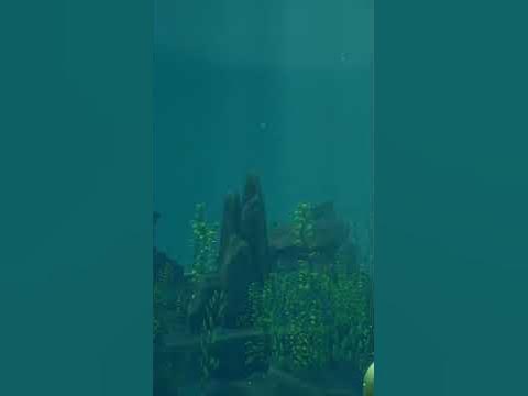 часть команды часть коробля - YouTube