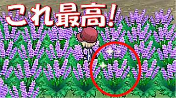 ポケットモンスター Xy ポケトレ ポケットモンスター Xy ポケトレ
