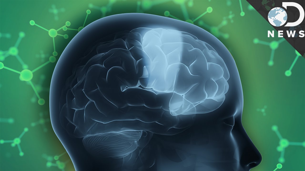 How Do Things Hide In Plain Sight? YouTube