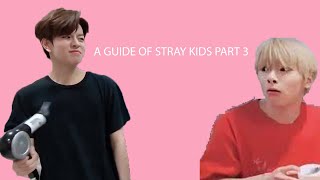 INTROduction to Stray Kids (Part 3)