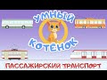 Пассажирский транспорт и Умный котенок.Обучающий мультик для малышей. Развивающий про машинки