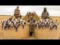 Goose Hunting 2019 55 Bird Beatdown!