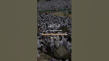 " وأذن في الناس بالحج يأتوك رجالا "  || سورة الحج الآيات [ 26 - 28 ] ~ الشيخ ماهر المعيقلي