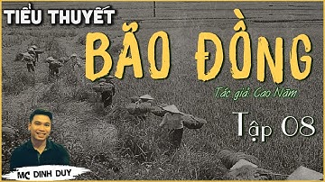 BÃO ĐỒNG - Tập 08 -  Tiểu thuyết hiện thực về thời BAO CẤP quá hay và cảm xúc | MC Đình Duy diễn đọc