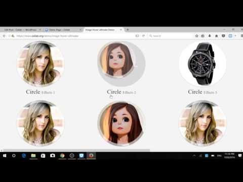 Image Hover Effects Ultimate Video Tutorial