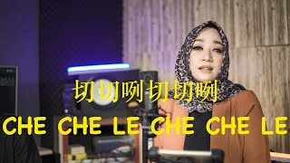 切切咧切切咧 CHE CHE LE CHE CHE LE 2023 Mandarin Remix Version [video music cover] Lya