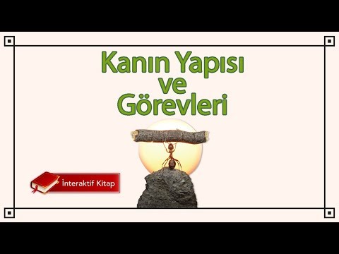 AYT Biyoloji | Kanın Yapısı ve Görevleri #sayfa84