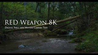 RED WEAPON 8K: Digital Still and Motion Camera Quick Test