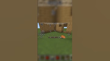 Lever Password = Secret Door?! #minecraftsecrets #shorts