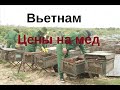 Вьетнам. Пчеловодство. Цены на мед.