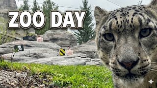 Zoo Day | My First Visit to the Toronto Zoo