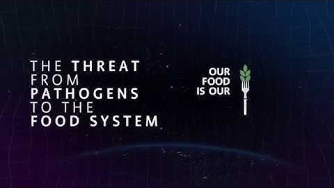 ASSET2018 | Theme 2 Opening video