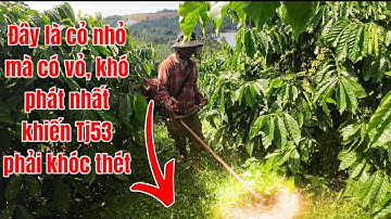 Khám phá và test cước 3,5 li cho cục sắt gặm cỏ tj53 kawasaki và cái kết