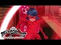 Miraculous Ladybug | 🐞 Reflekta 🐞 | Ladybug and Cat Noir | Animation