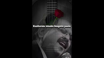 Thumbnail of Pachamala Poovu-Kizhakku Vasal |kartik |Revathi | Ilaiyaraaja |spbalasubrahmanyam