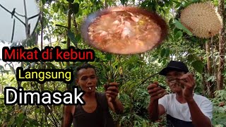 Mikat burung langsung di masak auto enak