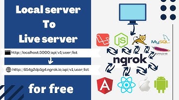 Make Your Localhost Live FREE Without Hosting. API Testing For App Development | Plus A Bonus Trick.