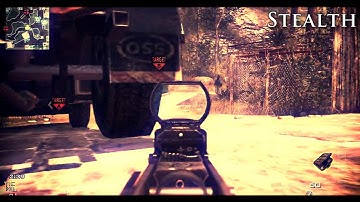 Haych & Stealth MW3 Dualtage