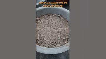Thumbnail of how to germinate cosmos seed  and full blooming 💕 #youtubeshorts #veryeasyway #shortsvideo