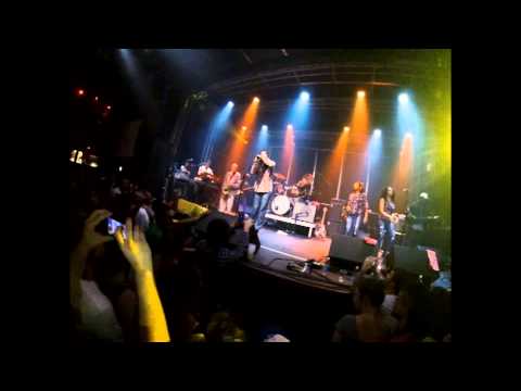 Julian Marley & The Wailers Reunion Band - ROOTS ROCK REGGAE - 2015