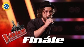 Peter Juhás - Hej, Sokoly! (IMT Smile a Kandráčovci) - Finále 3 - The VOICE Česko Slovensko 2019