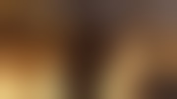 The Witcher 3 : The nilfgaardian connection (Scire Net)