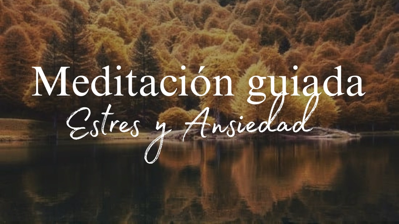MEDITACION GUIADA- Para encontrar la calma y dejar ir el estres - YouTube