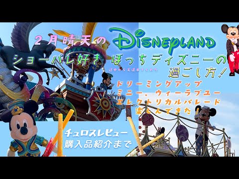 【ディズニーランド／Disney Vlog】2月晴天のディズニーランド！ショーパレ好きぼっちディズニーの過ごし方。〜ドリーミングアップ、ミニー、ウィーラブユー、エレクトリカルパレード、購入品紹介まで〜