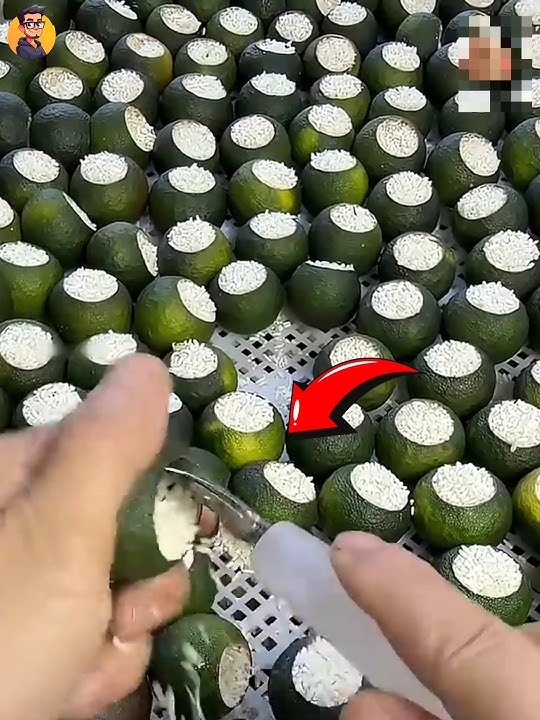 😱Sathukodila Tea ah⁉️