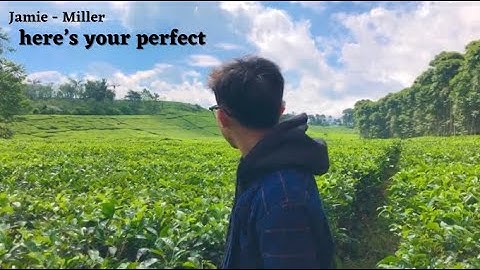 Jamie Miller - here’s your perfect (official music video)