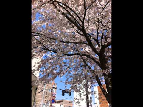 3月9日