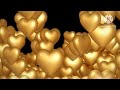 (SCFY) round 198 round 200 the final and credits