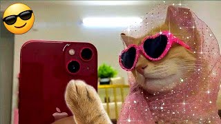 The FUNNIEST Pet Videos of 2024! 🤣 | BEST Compilation Part 8