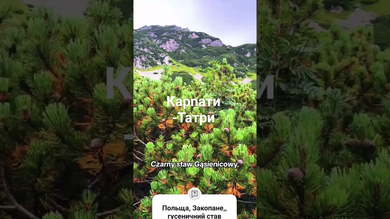 #mountains #карпати #татры #жизньвпольше #travel #закопане